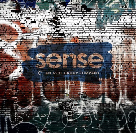 The network model... still makes Sense